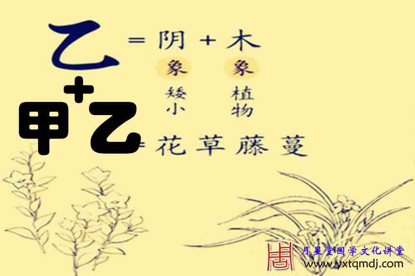 乙＋甲乙129集.jpg